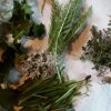 Schmackhaftes aus Wald und Wiese » Schmackhaftes aus Wald und Wiese